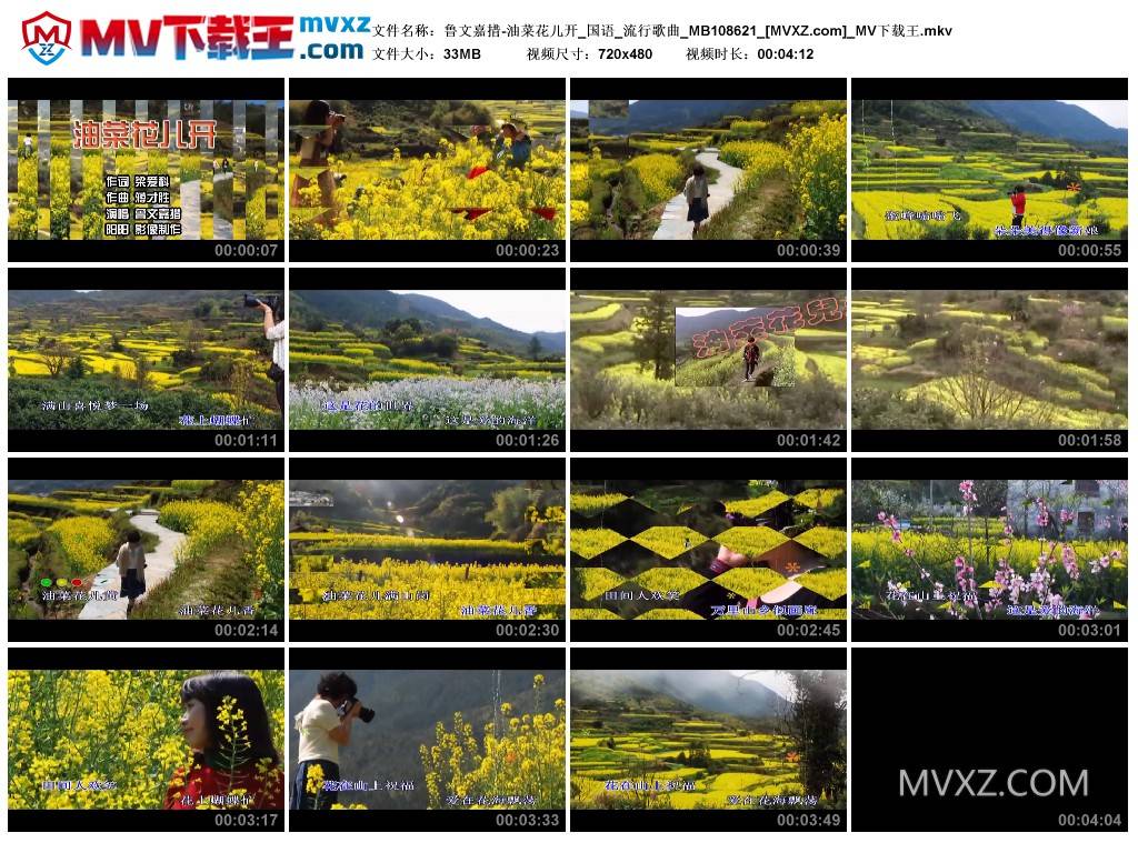 鲁文嘉措-油菜花儿开_国语_流行歌曲_MB108621